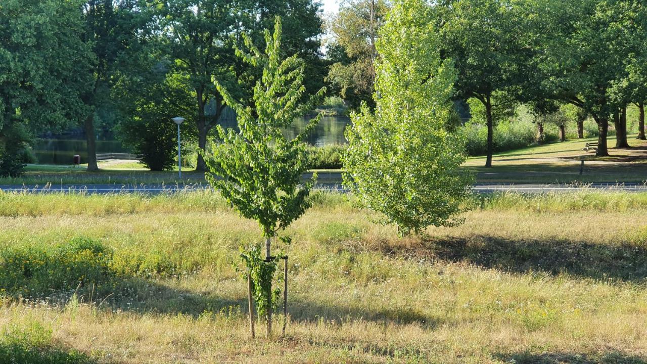 Logies Bij Wandelpad Te 霍尔顿 外观 照片